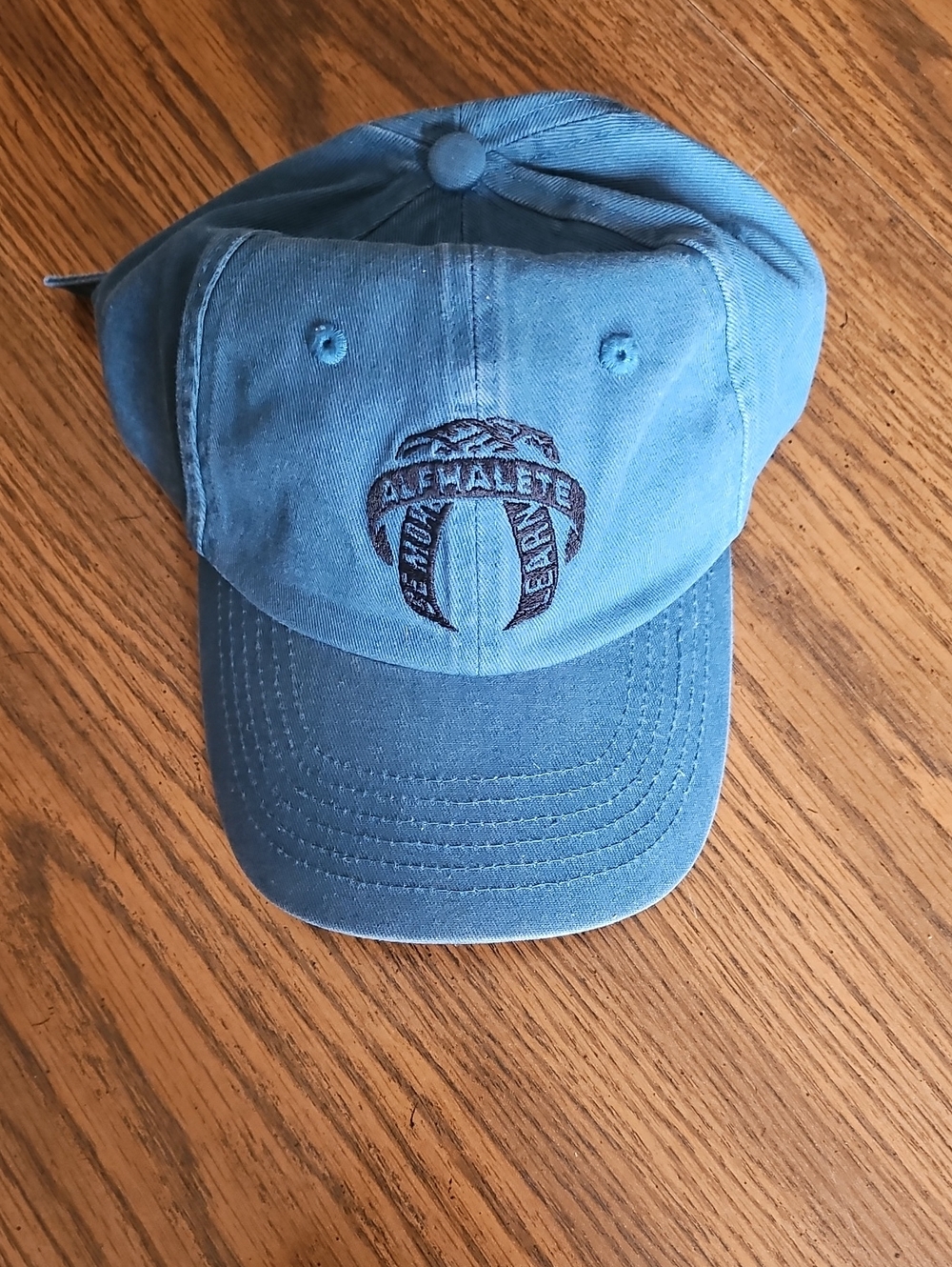 Men's Blue Embroidered Baseball Cap